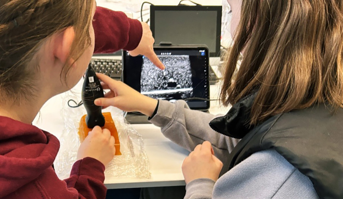 Student points at IV on ultrasound monitor.