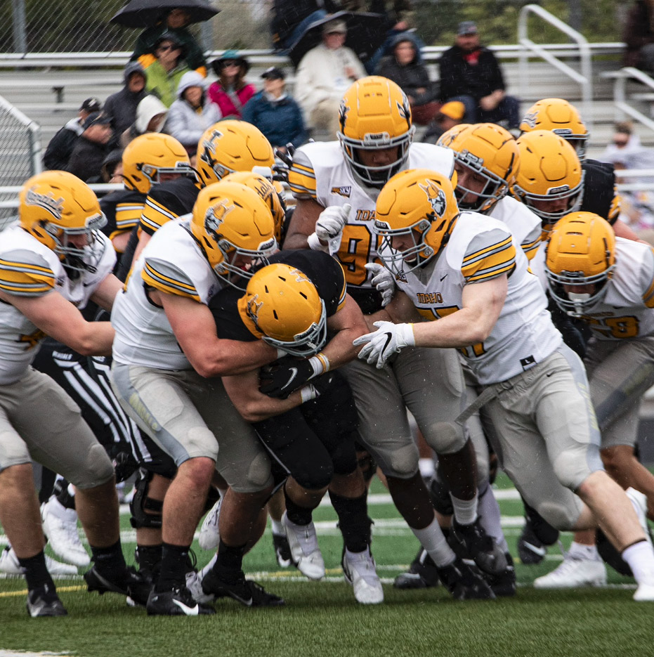 U of I Spring Game