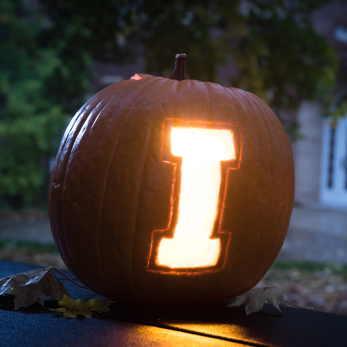A jack-o-lantern sits in front of the VandalStore.