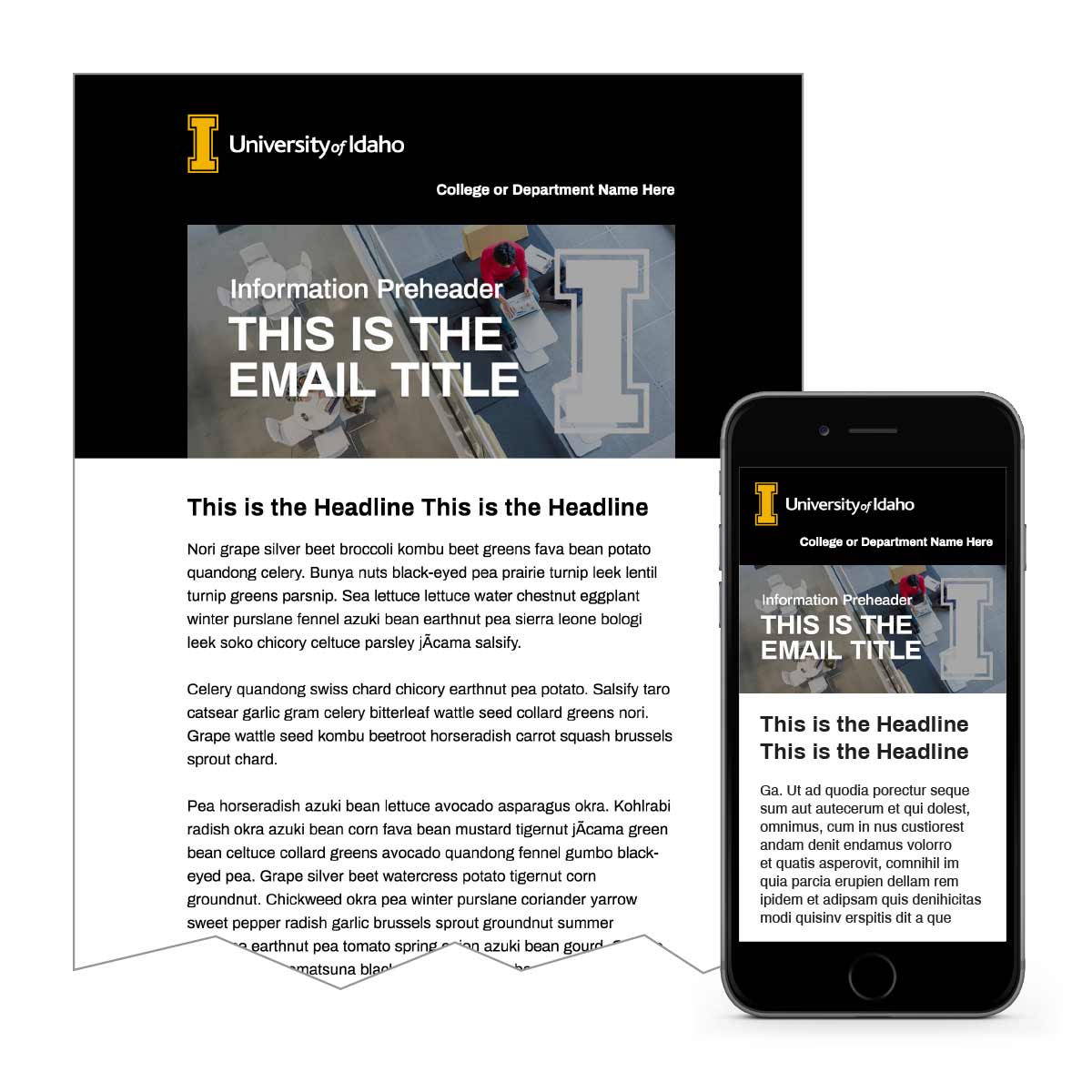 Dark Email Template 2