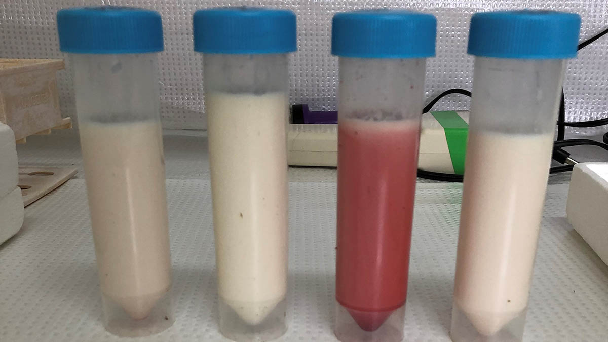 Four vials of milk stand on a table