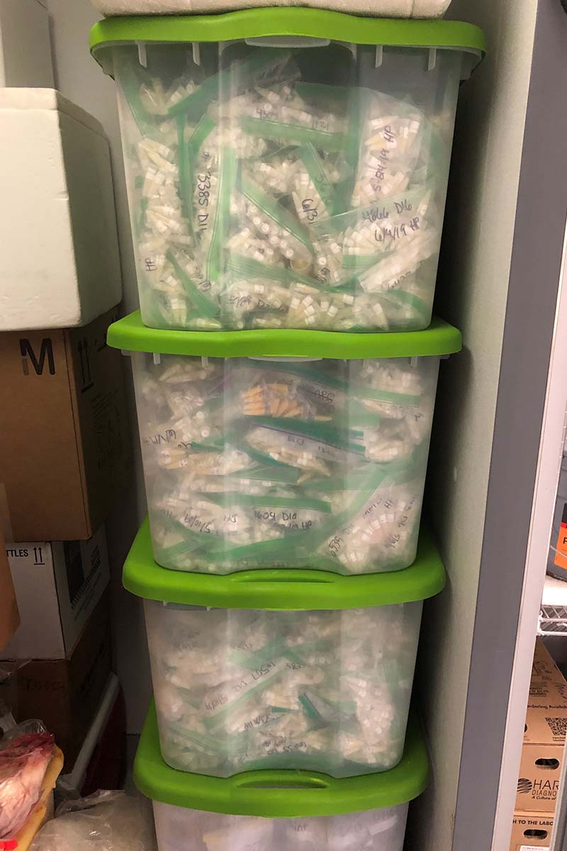 Three tubs stacked atop each other