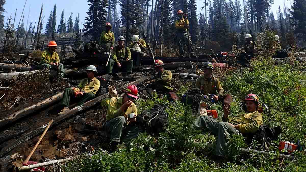 Group of firefighters in yellow jackets sitting by trees.
