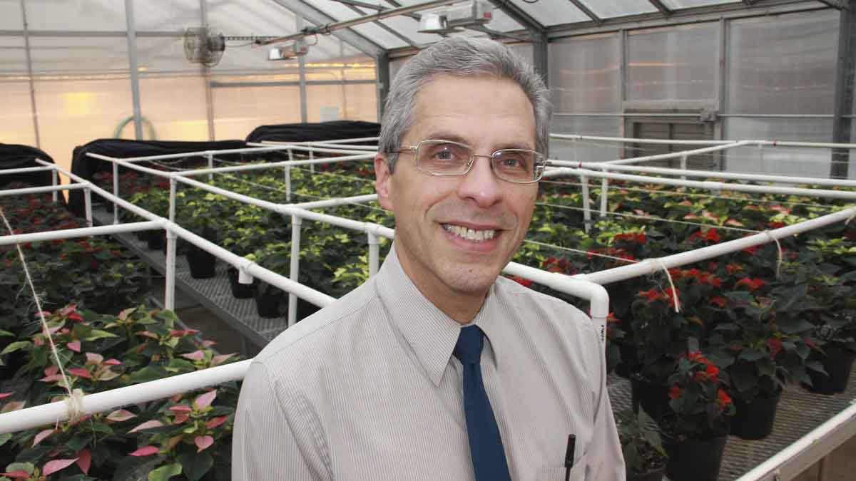 Portrait of man in a greenhouse