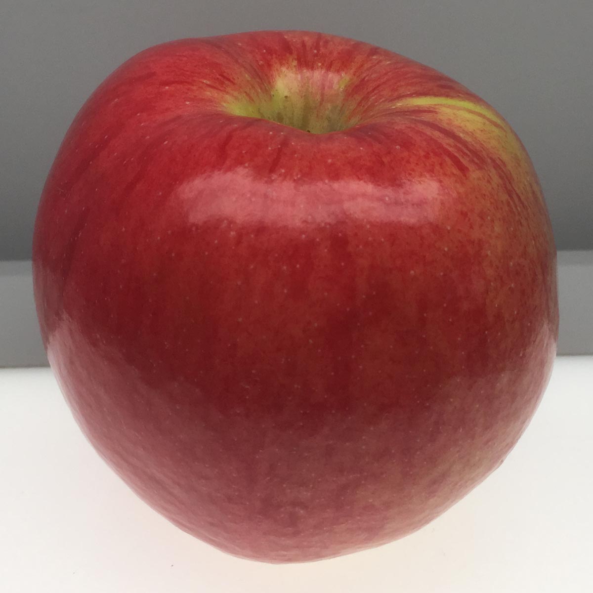 Alexander apple
