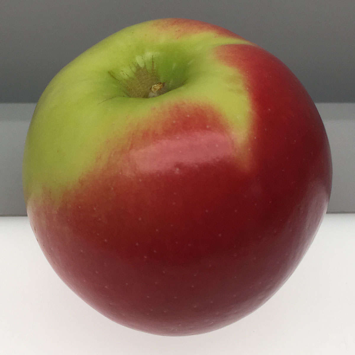 D'Arcy Spice apple