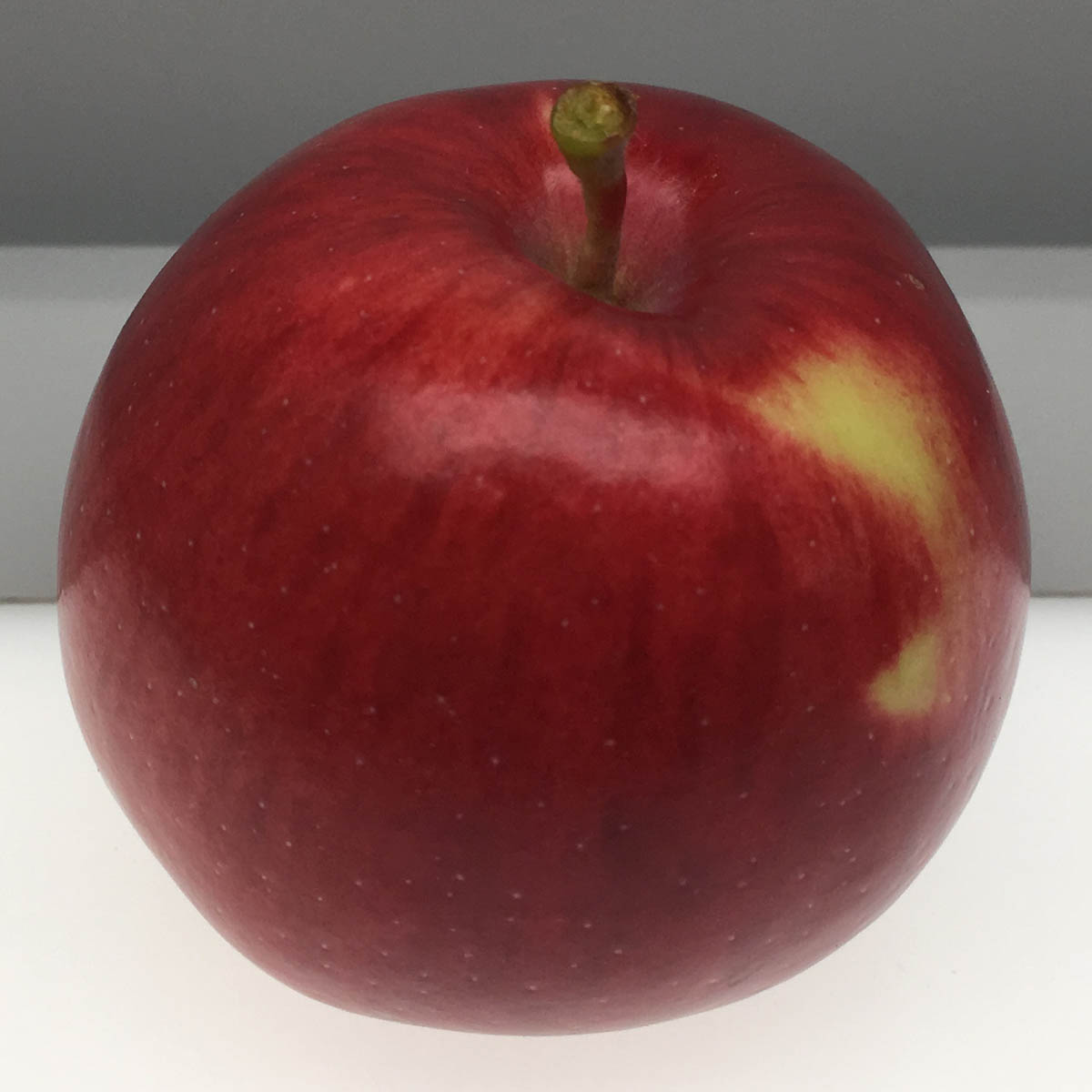 Empire apple