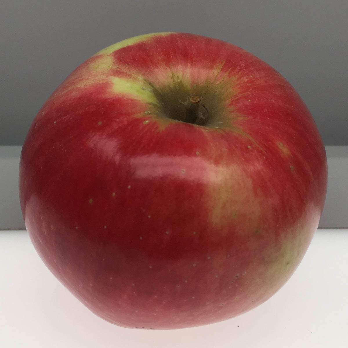 Freedom apple