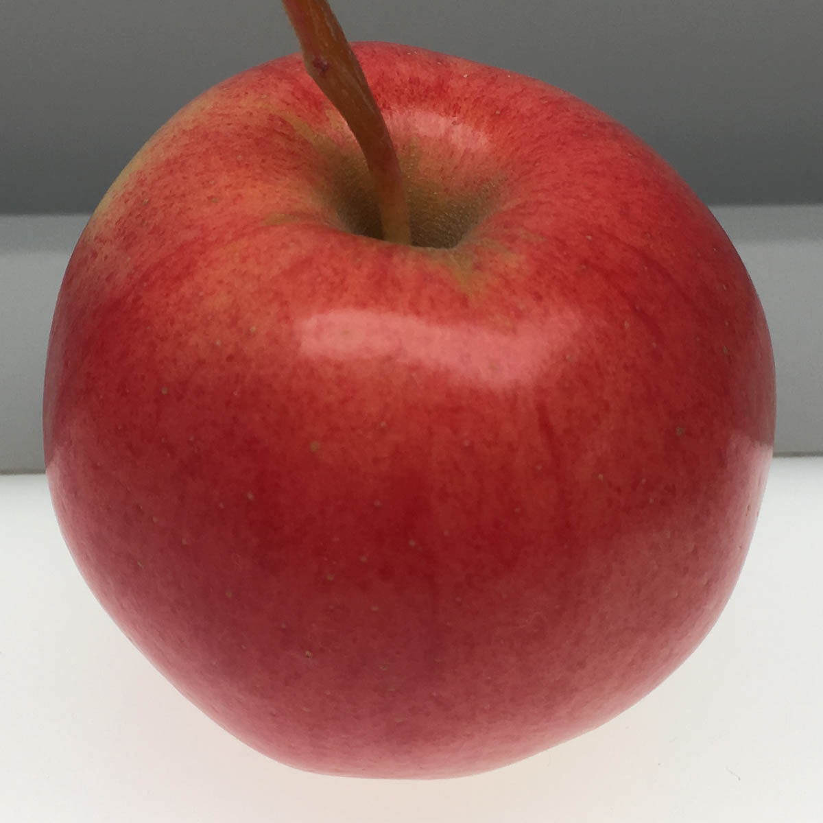 Gala apple