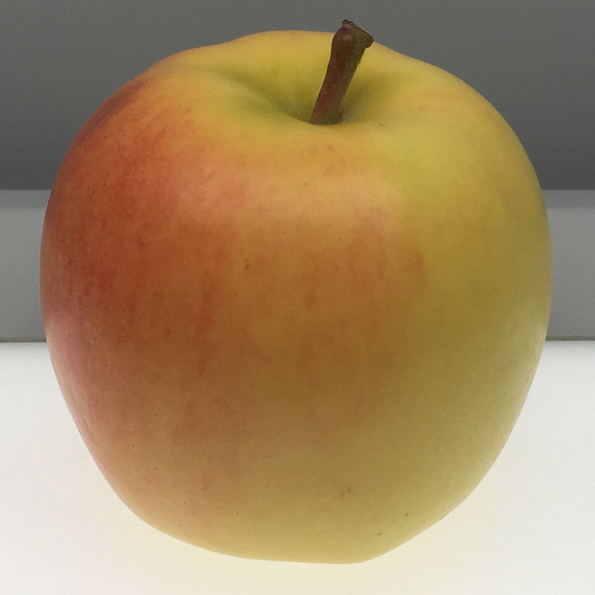 Grimes Golden apple