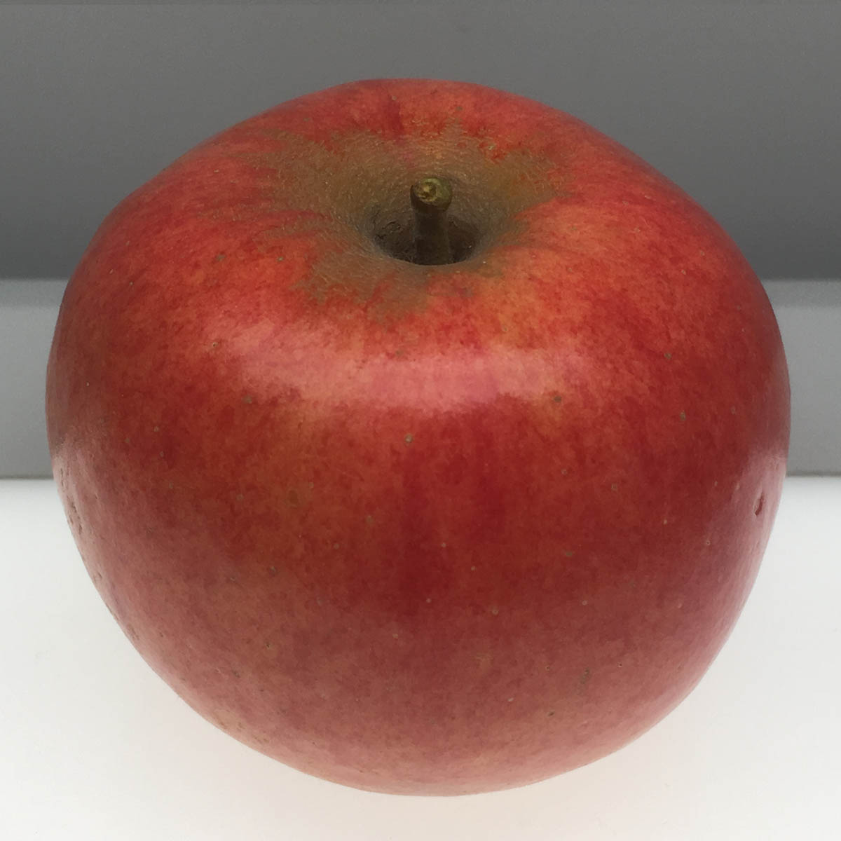 Holstein apple