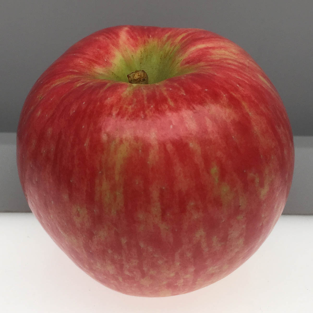 Honeycrisp apple