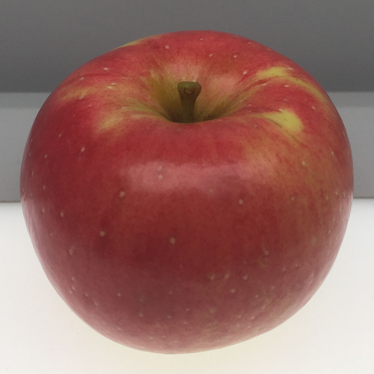 Jefferis apple