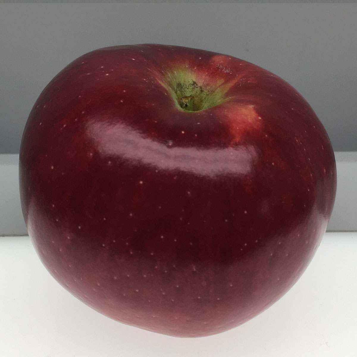 Macoun apple
