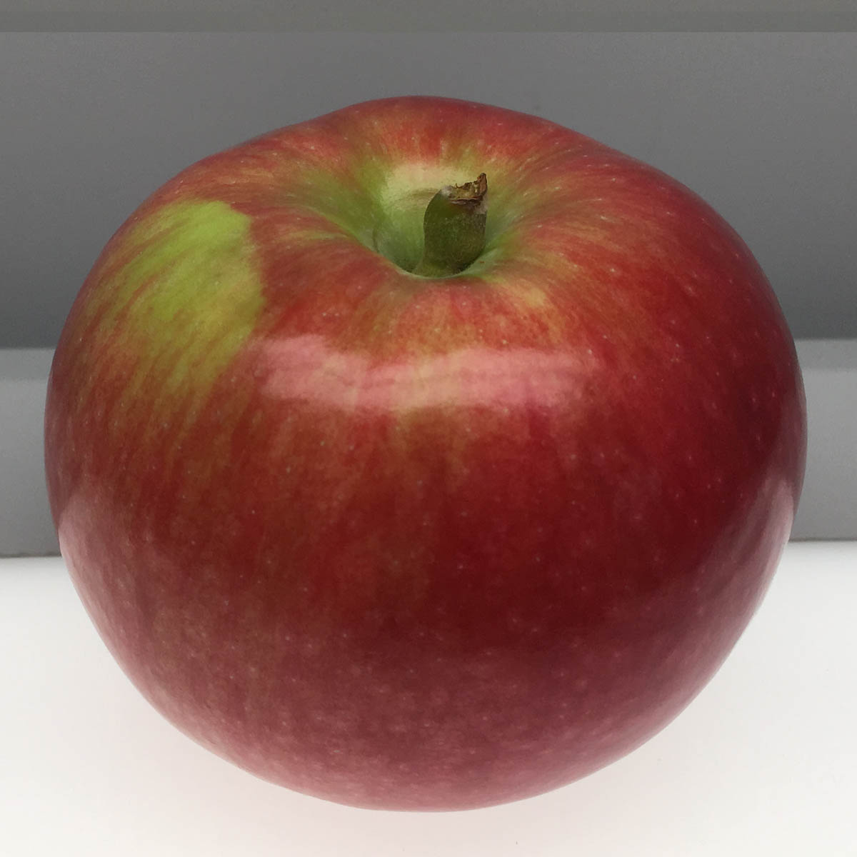 McIntosh apple