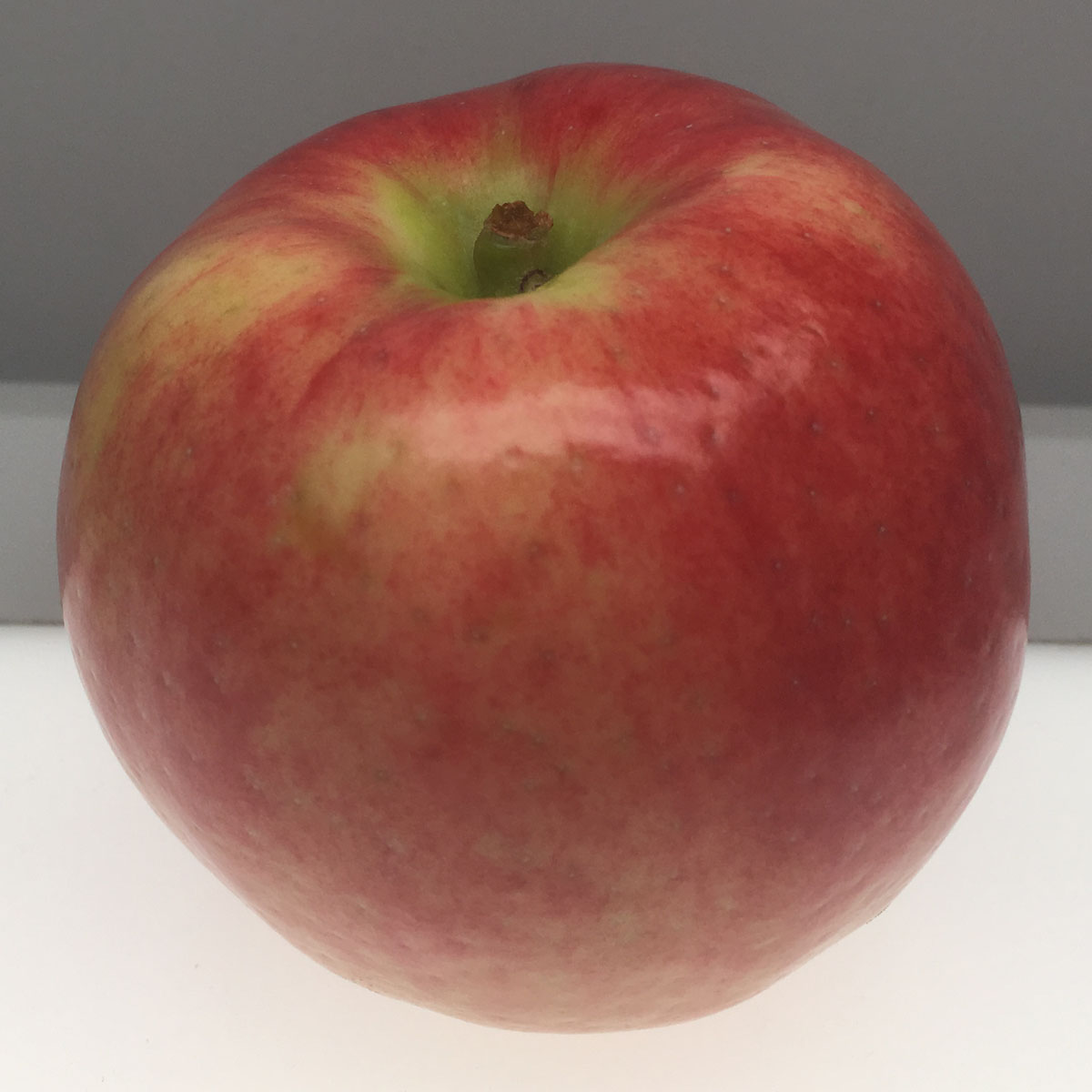 MonArk apple