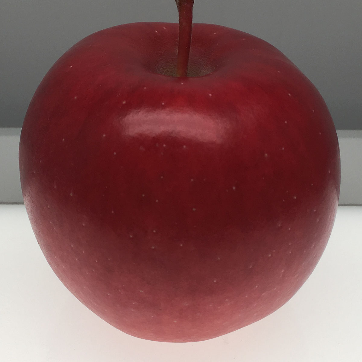 Northern Spy apple