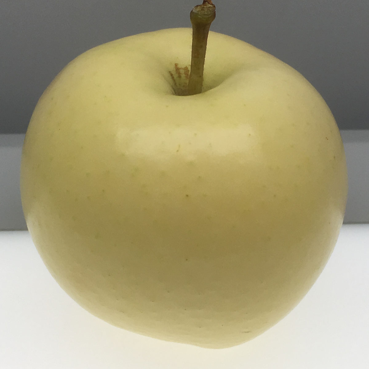 Seek No Further apple