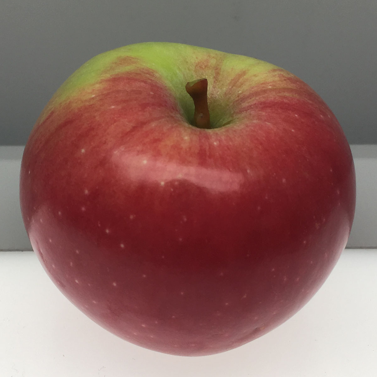 Snow (Fameuse) apple