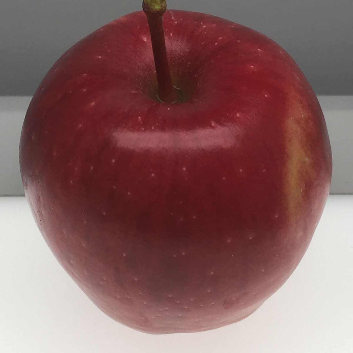 Starking Delicious apple