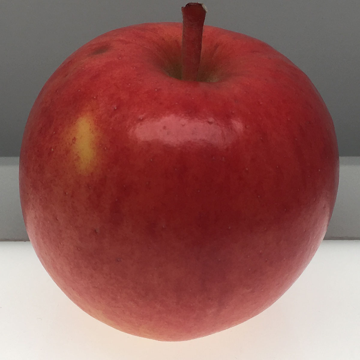 Summer Rose apple