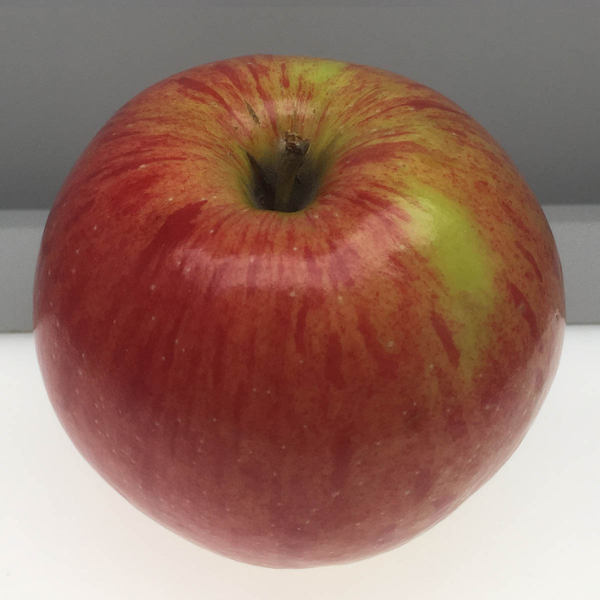 Twenty Ounce apple