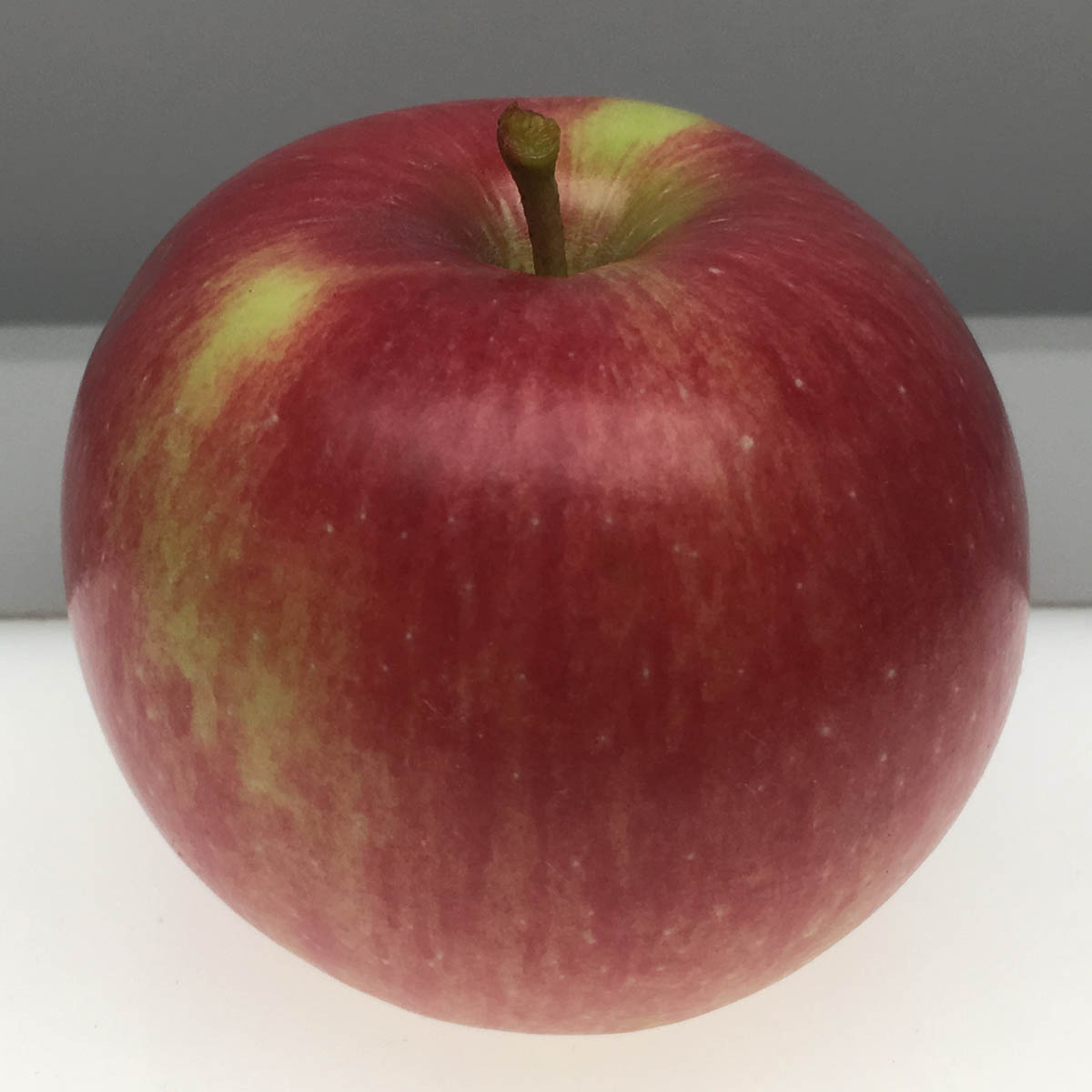 Wealthy apple