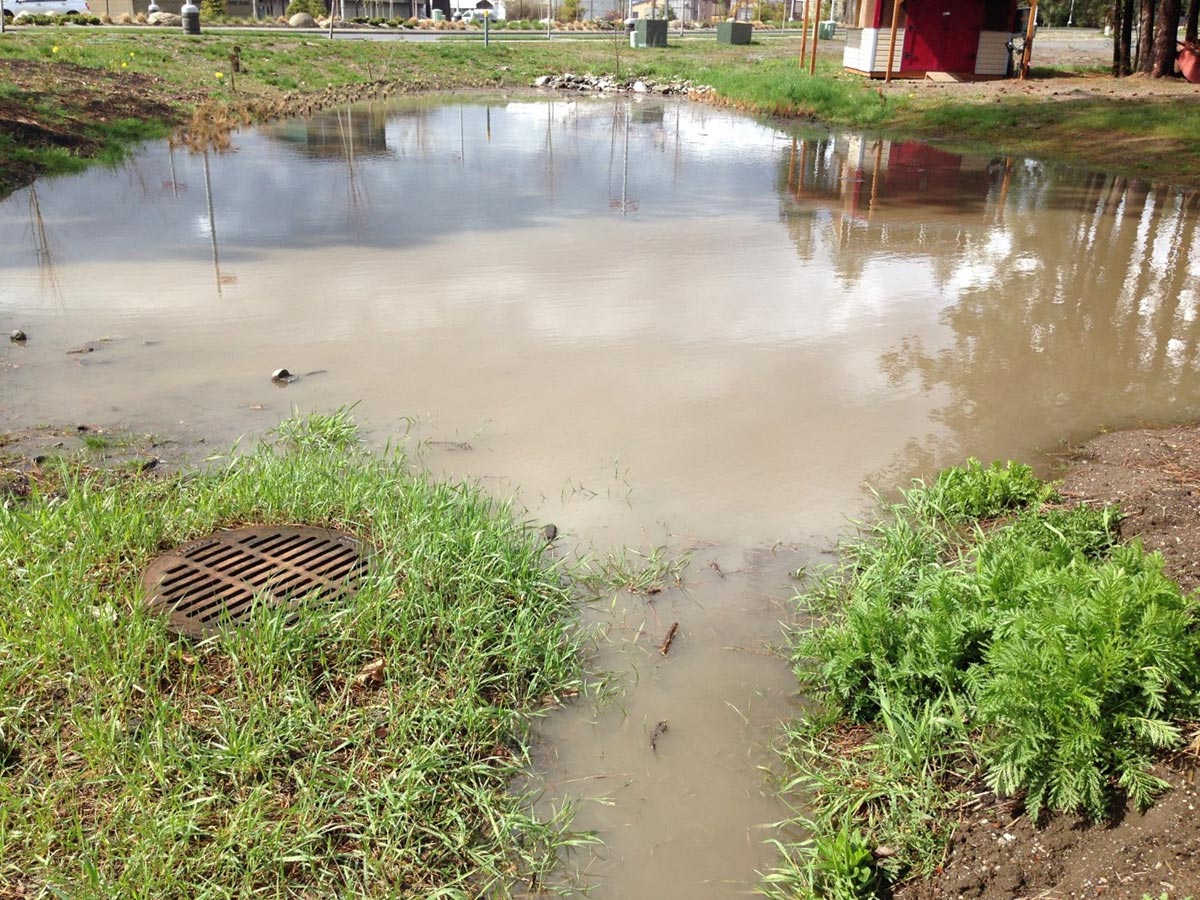 Water floods a space around a storm drain.