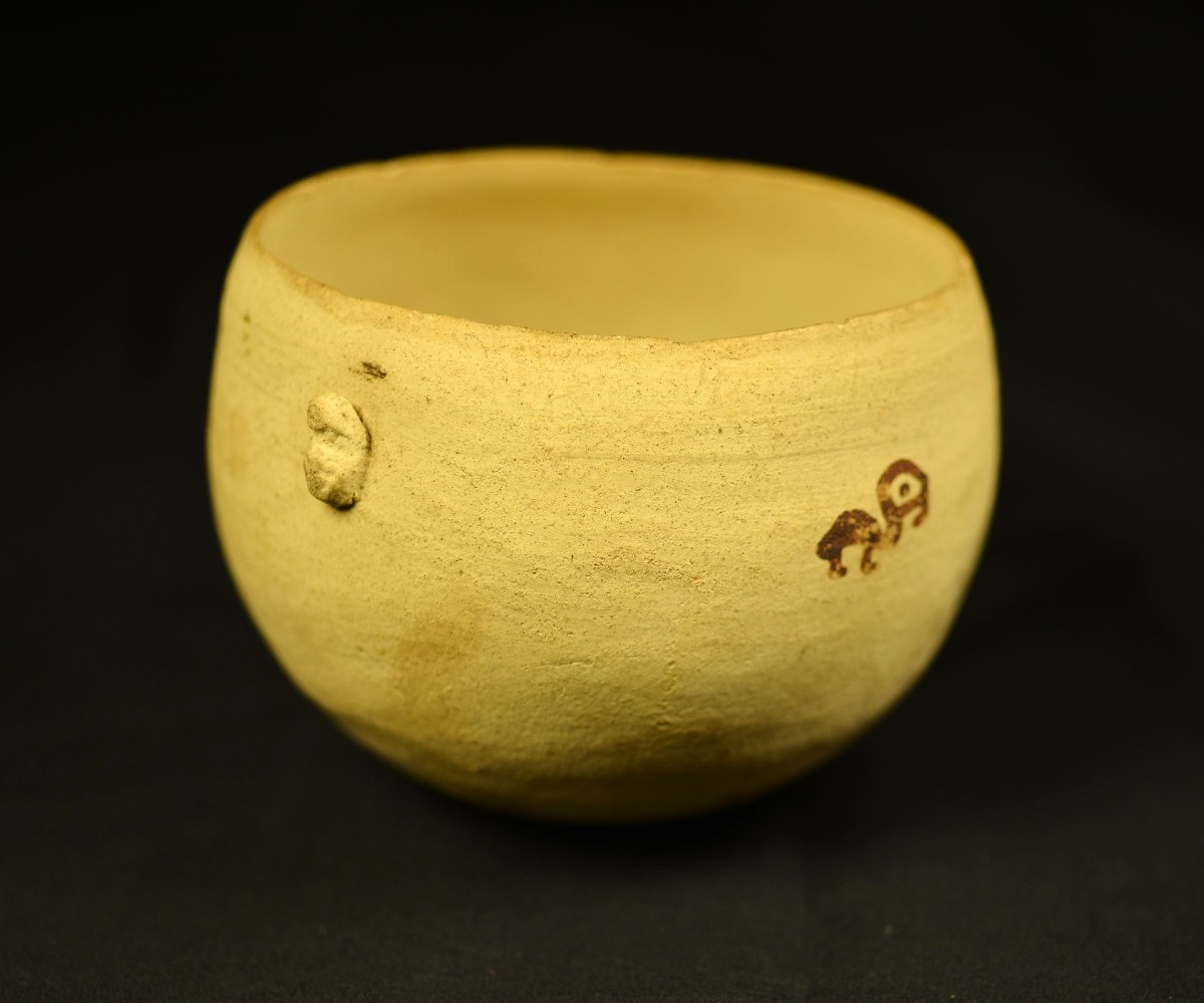 Peruvian bowl with parrots