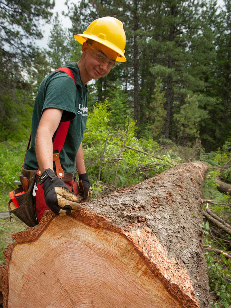 earn pay while learning forest management techniques