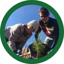Get Rooted