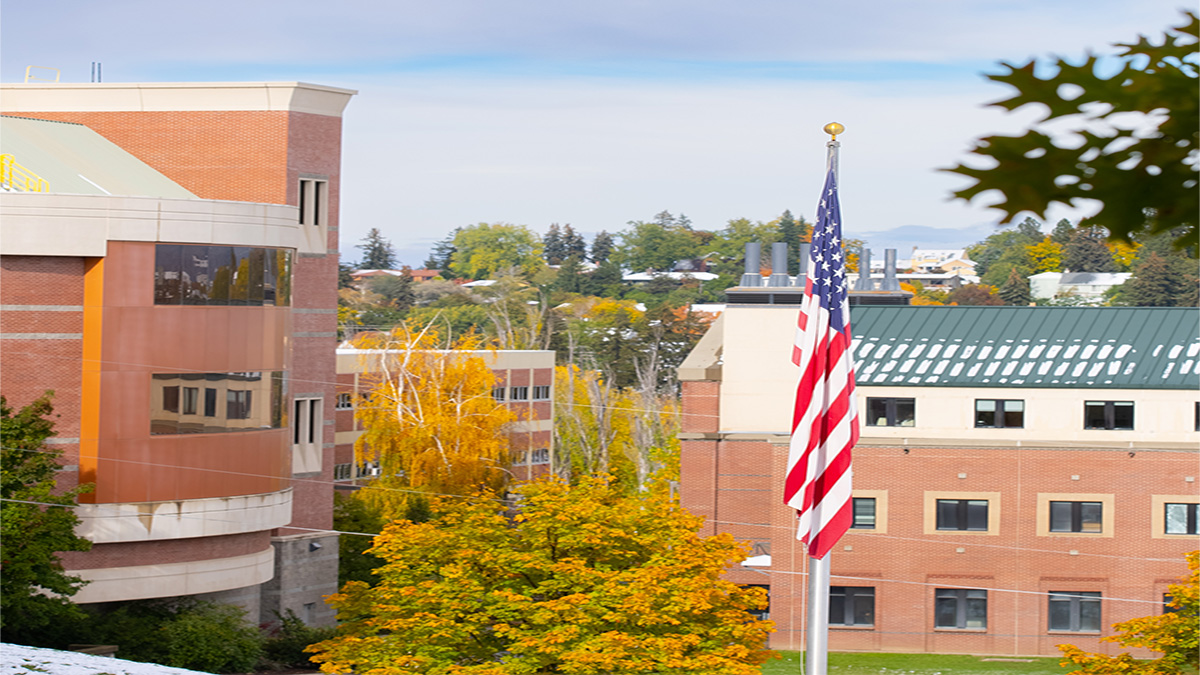 Image of buildings and the US flag