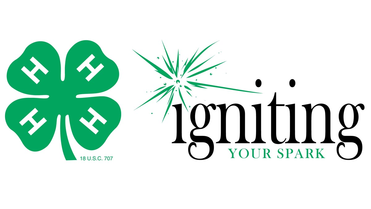igniting your spark graphic