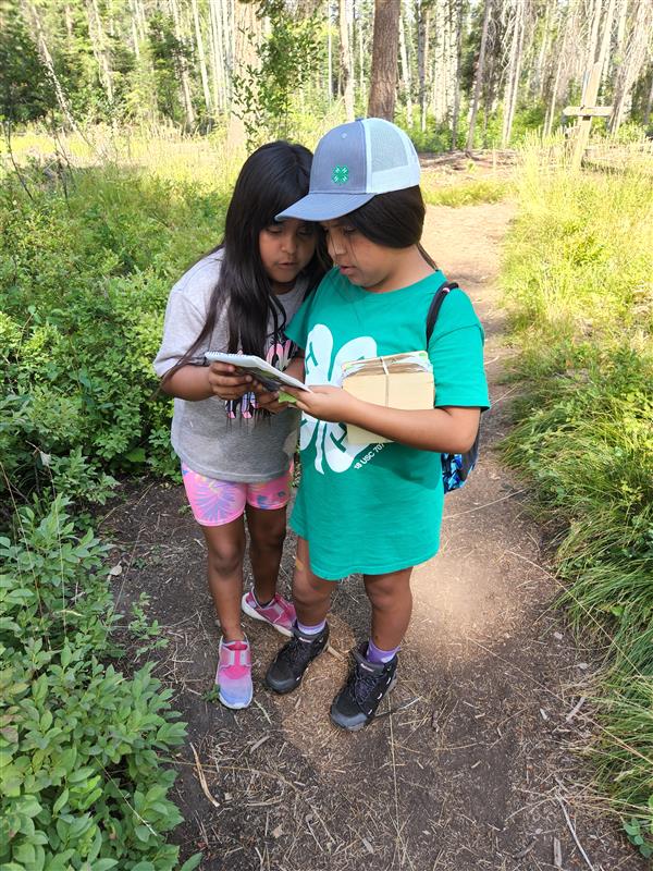 Two 4-Hers consult map on trail.