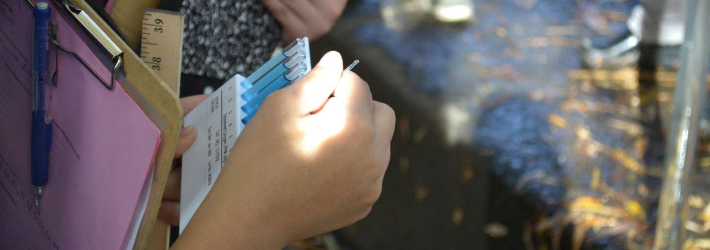 A high school student holds test tubes to check water quality.