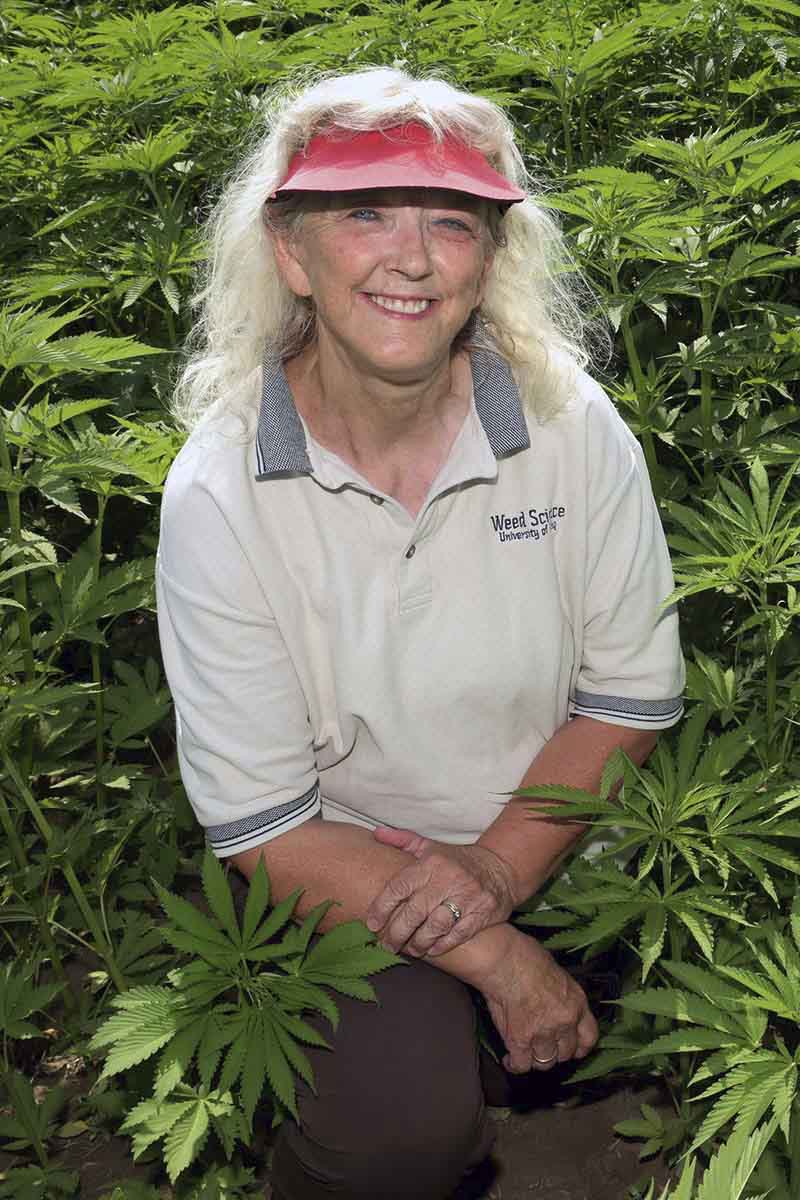 A woman kneels in a field of hemp plants.