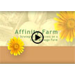 Affinity Farm: Strategies for Success on a Small-Acreage Farm