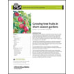 Growing Tree Fruits in Short-Season Gardens