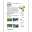 Core Aeration of Lawnsâ€”Benefits and Procedures