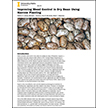 Improving Weed Control in Dry Bean Using Narrow Planting