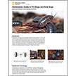 Homeowner Guide to Pill Bugs and Sow Bugs