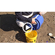 Monitoring Insect Bucket Traps
