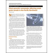 Plant-parasitic nematodes affecting small grain cereals in the Pacific Northwest
