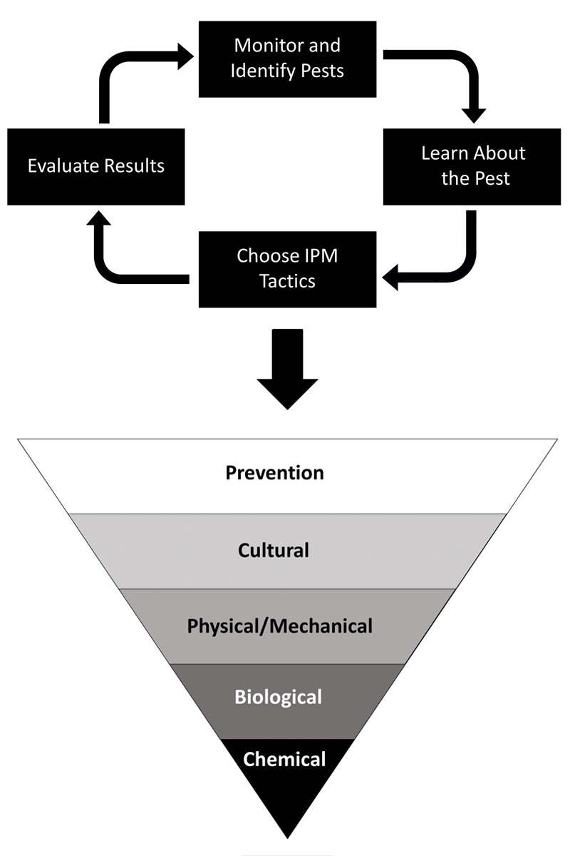 IPM figure (select for larger view)