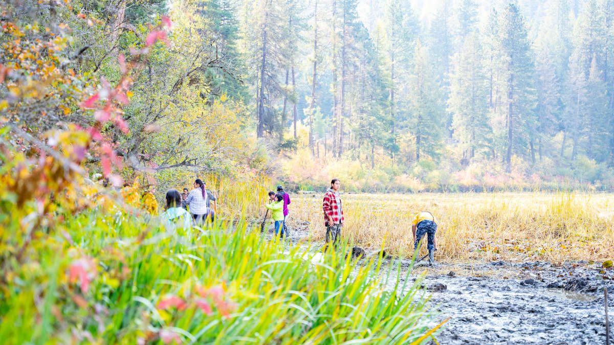 People digging with shovels with trees in background.