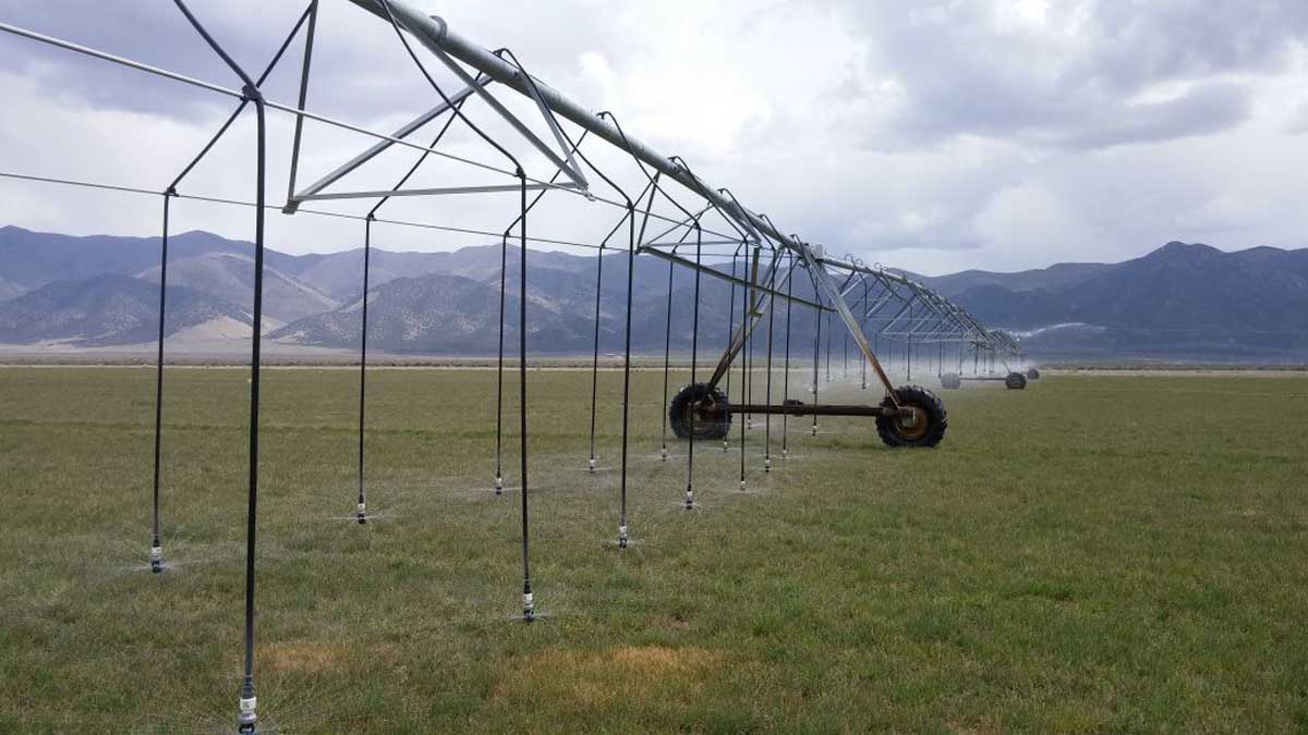 Irrigation lines water crops are shown at the University of Idaho Kimberly Research and Extension Center. Divvying up water along the Snake River for crops and other uses can sometimes be a difficult and complex task