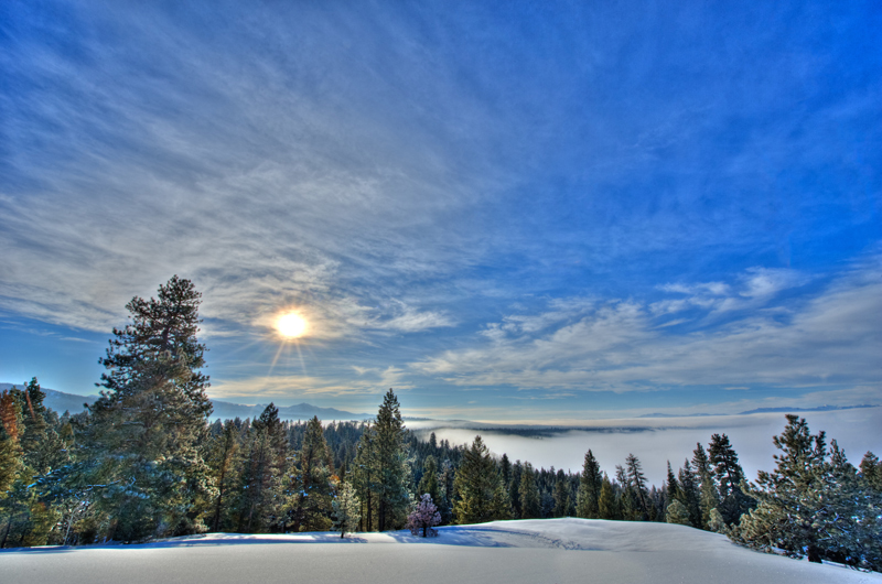 A sub shines over a snowy forest.