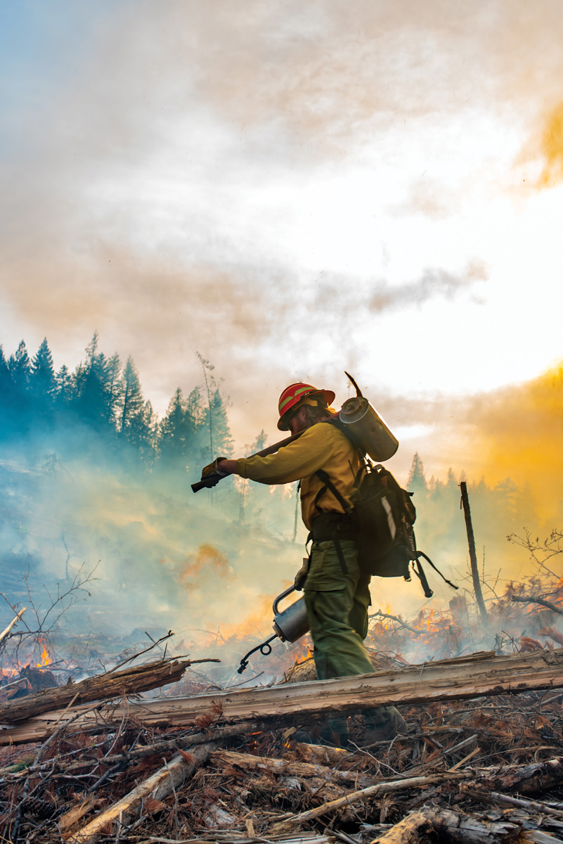 A student uses a drip torch to light slash from a timber harvesting project.