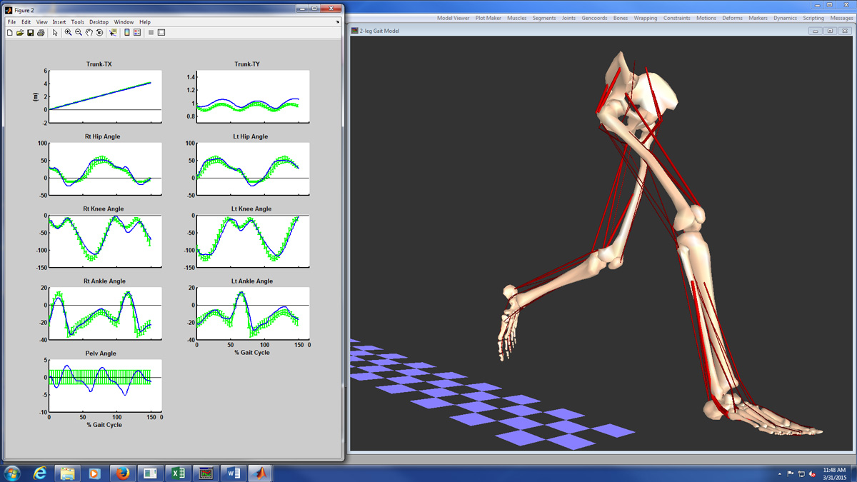 Screen shot of neuromuscular activity