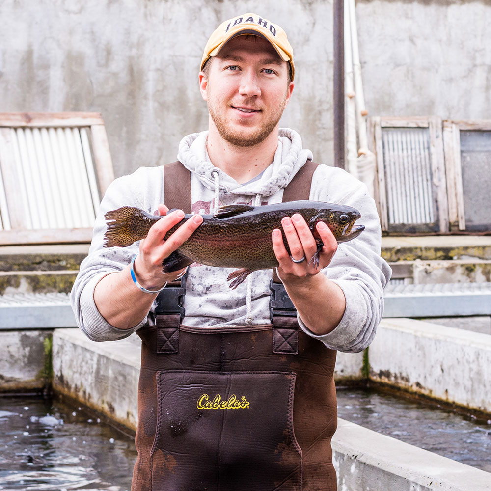 Holding a farmed fish